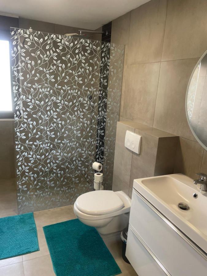 Superbe Appartement Au Rdc Avec Cheminee Villerupt Eksteriør bilde