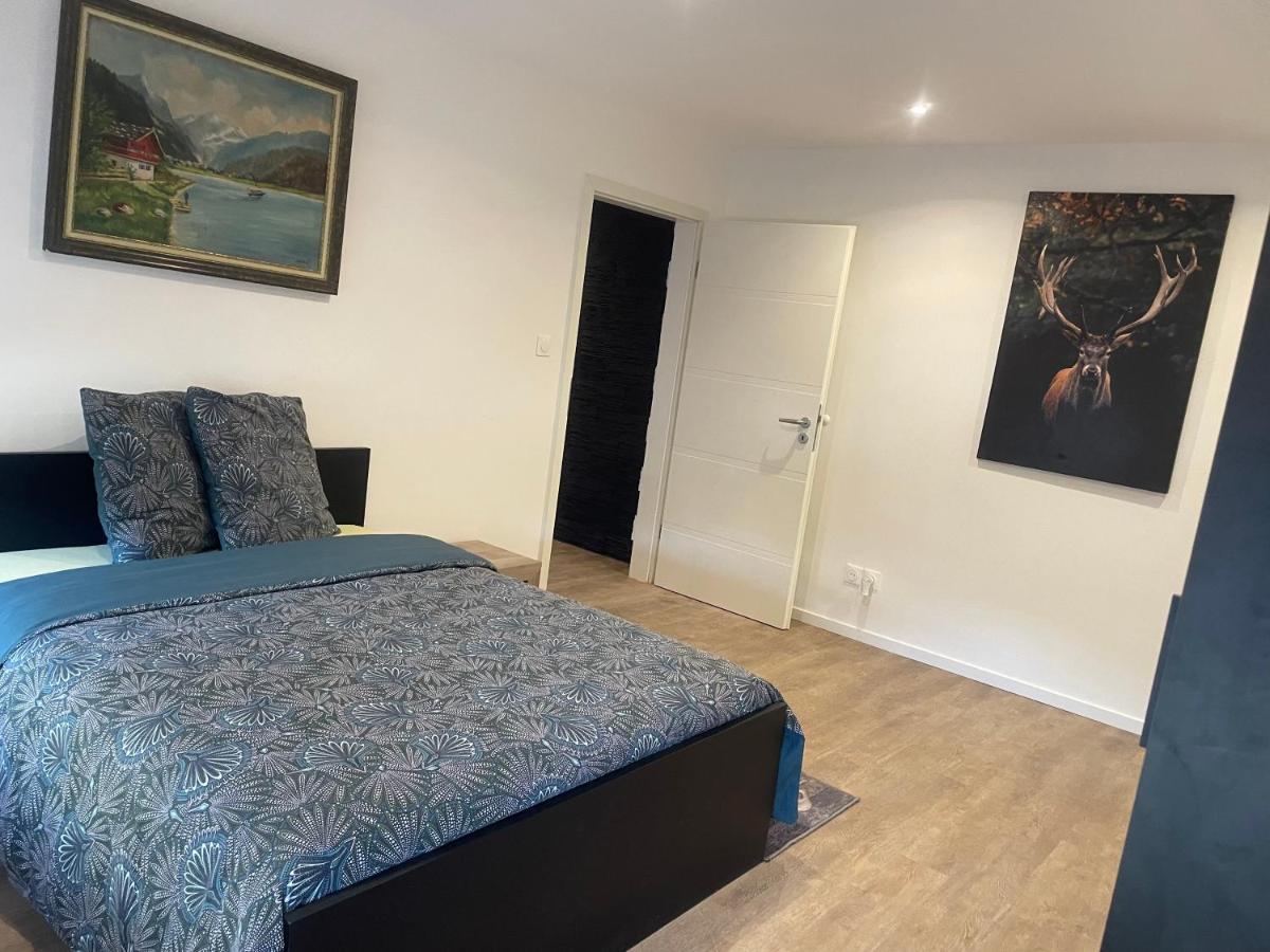 Superbe Appartement Au Rdc Avec Cheminee Villerupt Eksteriør bilde